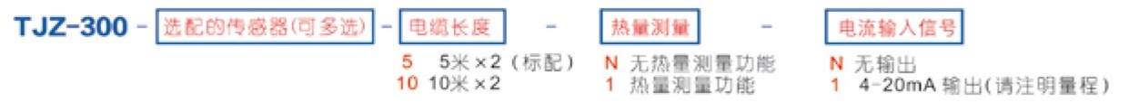 TJZ-300 便攜式超聲波流量計(jì) 選型編號